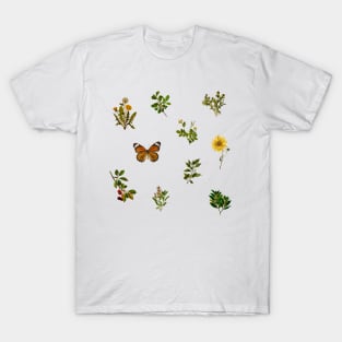 Vintage Botanical pack 3 T-Shirt